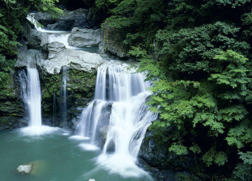 重庆：3000平米“年货大街”市民置办年货年味十足